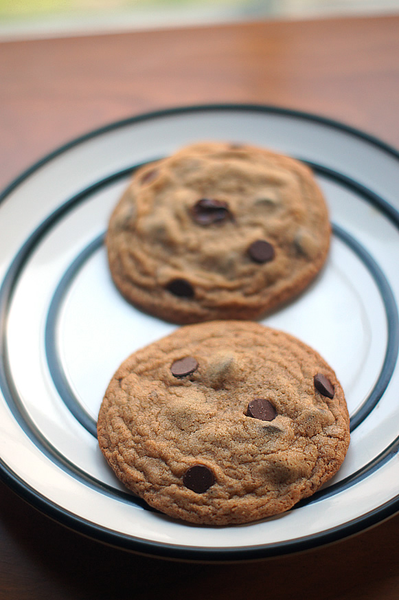 100 Calorie Vegan Whole-Wheat Chocolate Chip Cookies for Two | Mayhem