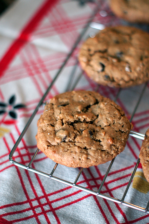 Flourless Oatmeal Peanut Butter Chocolate Chip Cookies #glutenfree