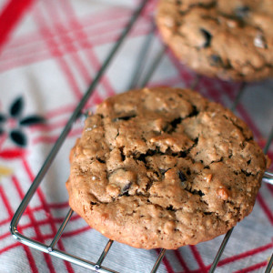 Flourless Oatmeal Peanut Butter Chocolate Chip Cookies