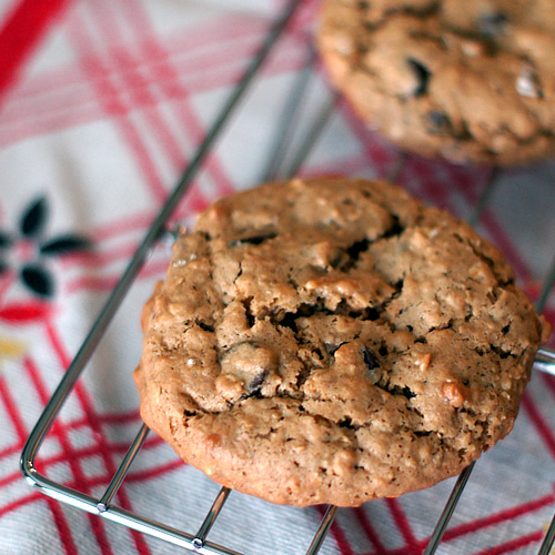 flourless Oatmeal Peanut Butter Chocolate Chip Cookies