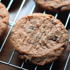 Flourless Peanut Butter Chocolate Chip Cookies