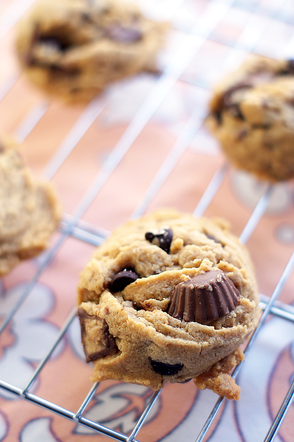 Peanut Butter Cup Cookies