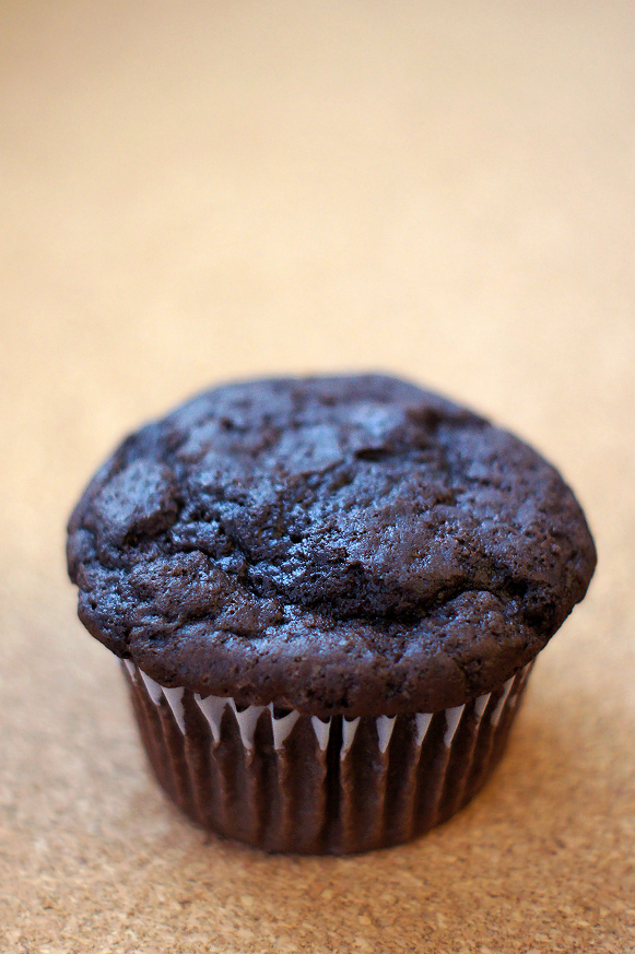 Double Chocolate Muffins