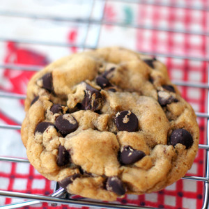 Soft and Chewy Chocolate Chip Cookies