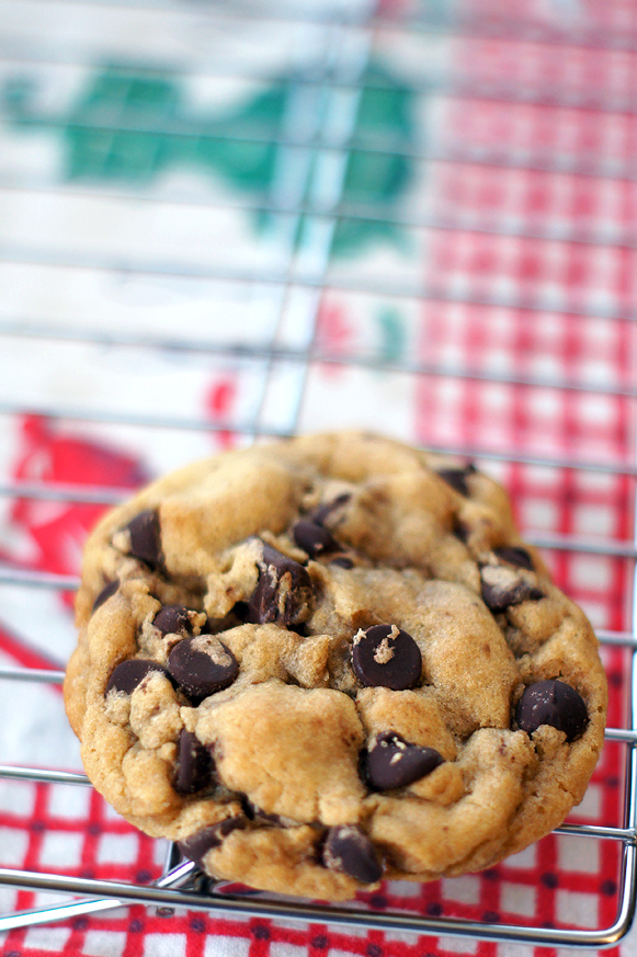 Chewy Chocolate Chip Cookies