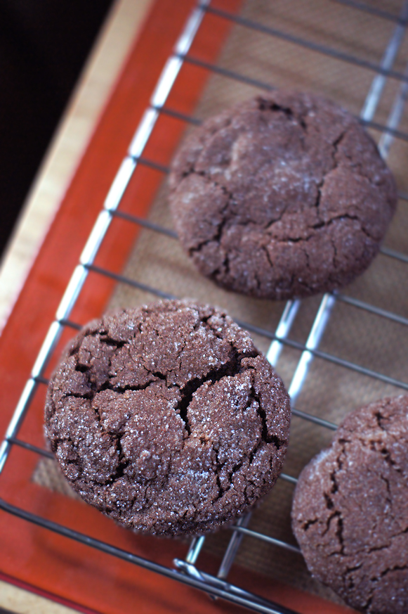 The Cookie Cart's secret recipe for Chocolate-Chocolate Chip Cookies