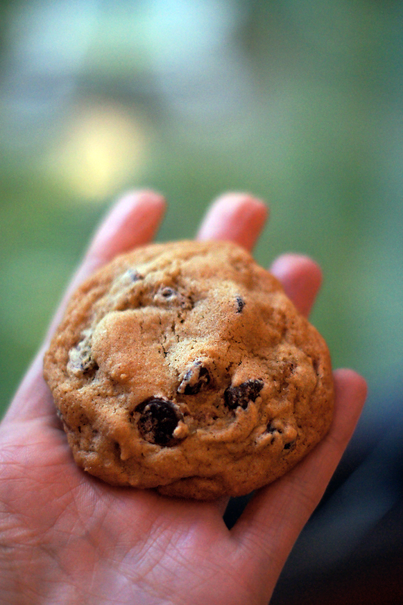 Old Fashioned Chocolate Chip Cookies