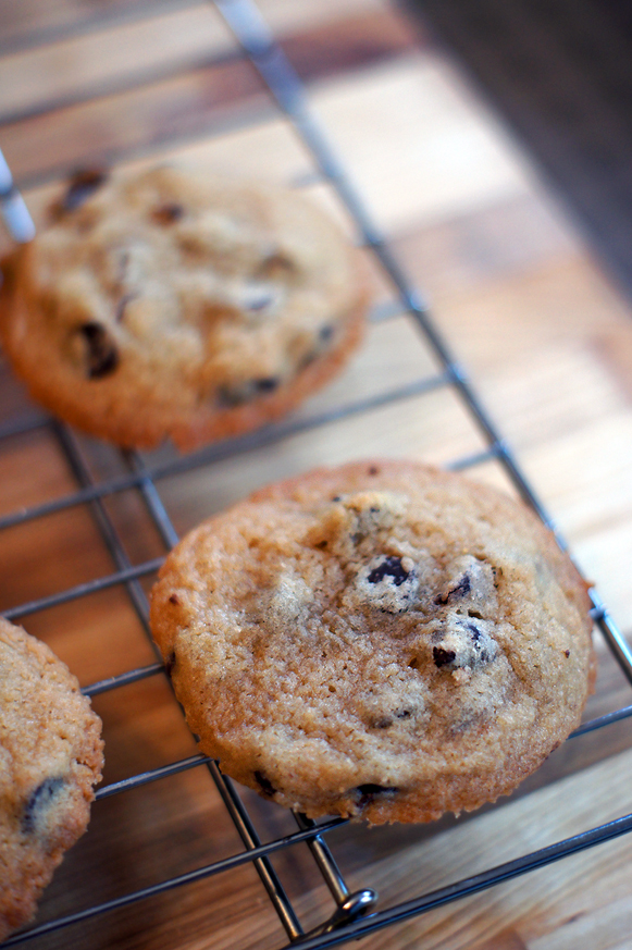 Chewy Chocolate Chip Cookies