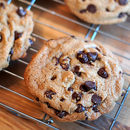 Leave a Reply Cancel reply