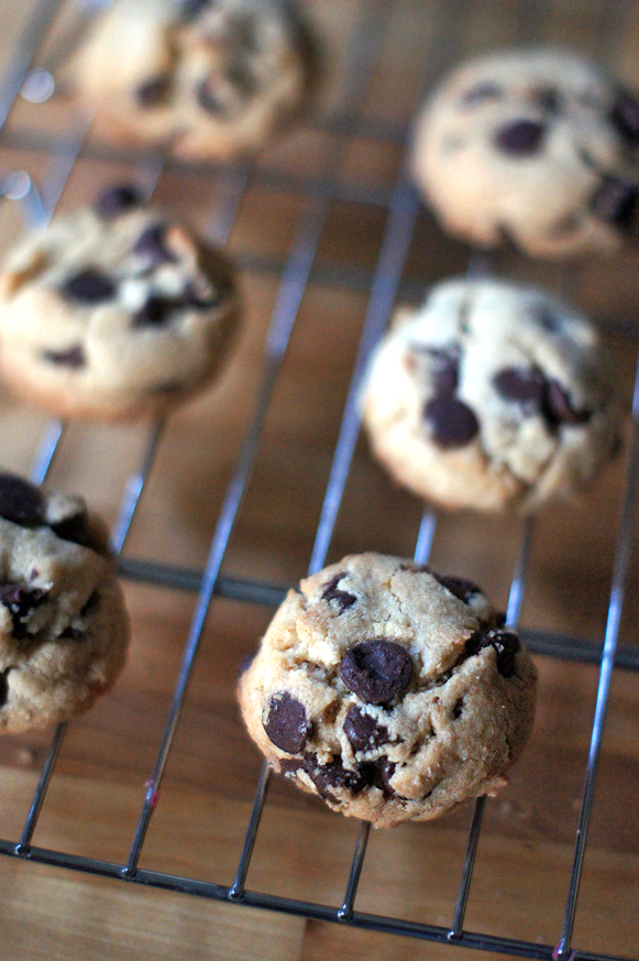 Betty Crocker's Chocolate Chip Cookies (Chocolate Chip Cookie #10)