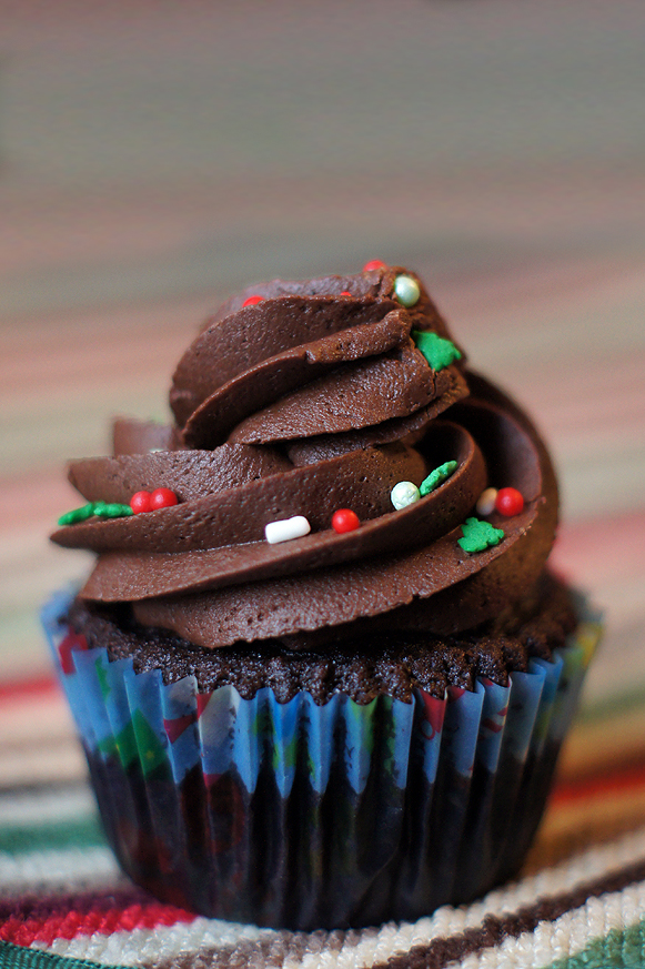 Classic Vegan Chocolate Cupcakes with Chocolate Frosting - non-vegan approved. :D
