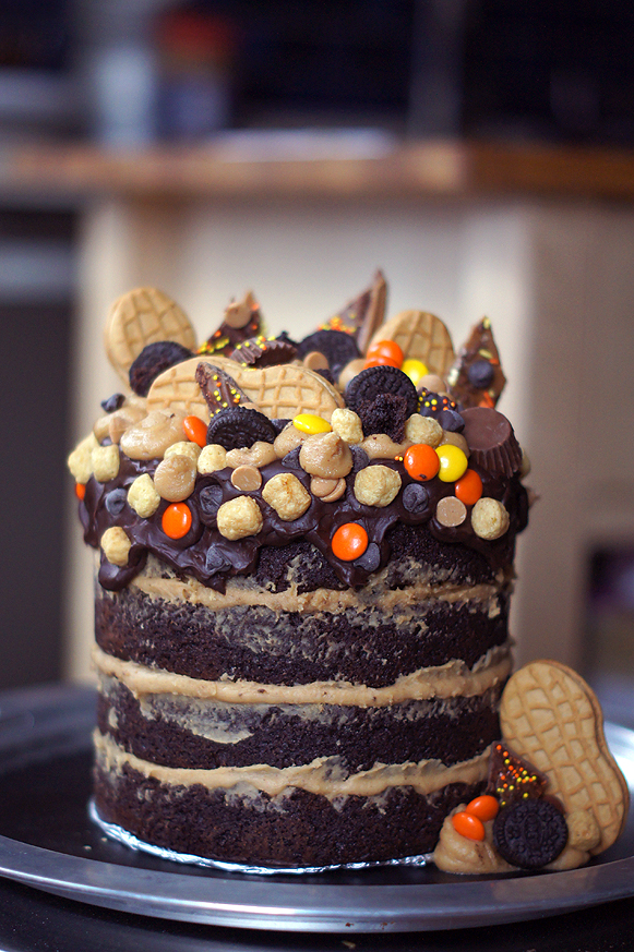 Peanut Butter and Chocolate Overload Brownie Cake (Katherine Sabbath inspired)