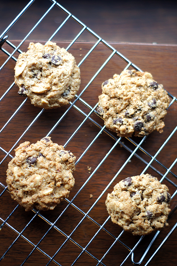 Peanut-Peanut Butter-Chocolate Chip Oatmeal Cookies